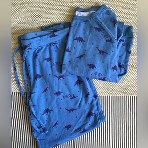 Women’s dinosaur long sleeve and pant pj set- Large